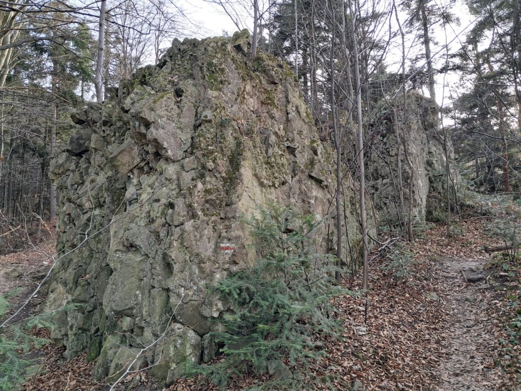 rezerwat przyrody Zamczysko nad Rabą