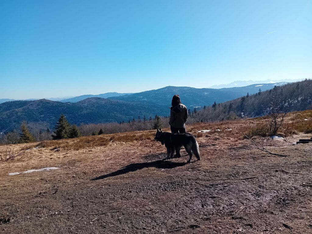 Polana-Skalne-Kutrzyca