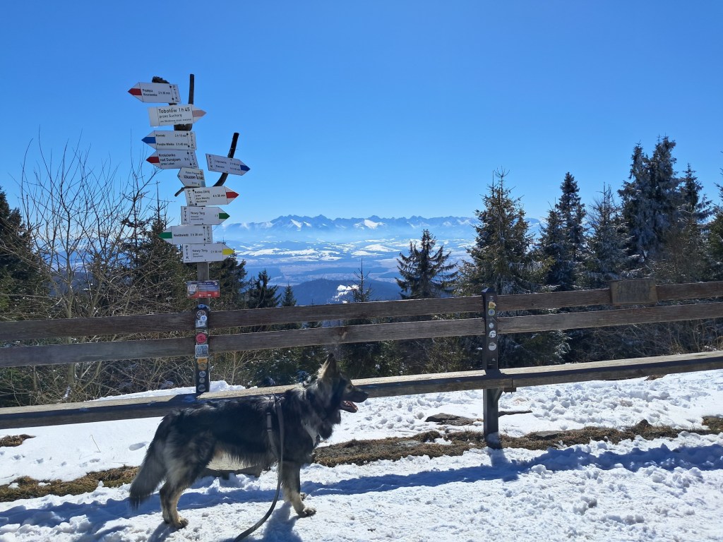 schronisko PTTK Turbacz