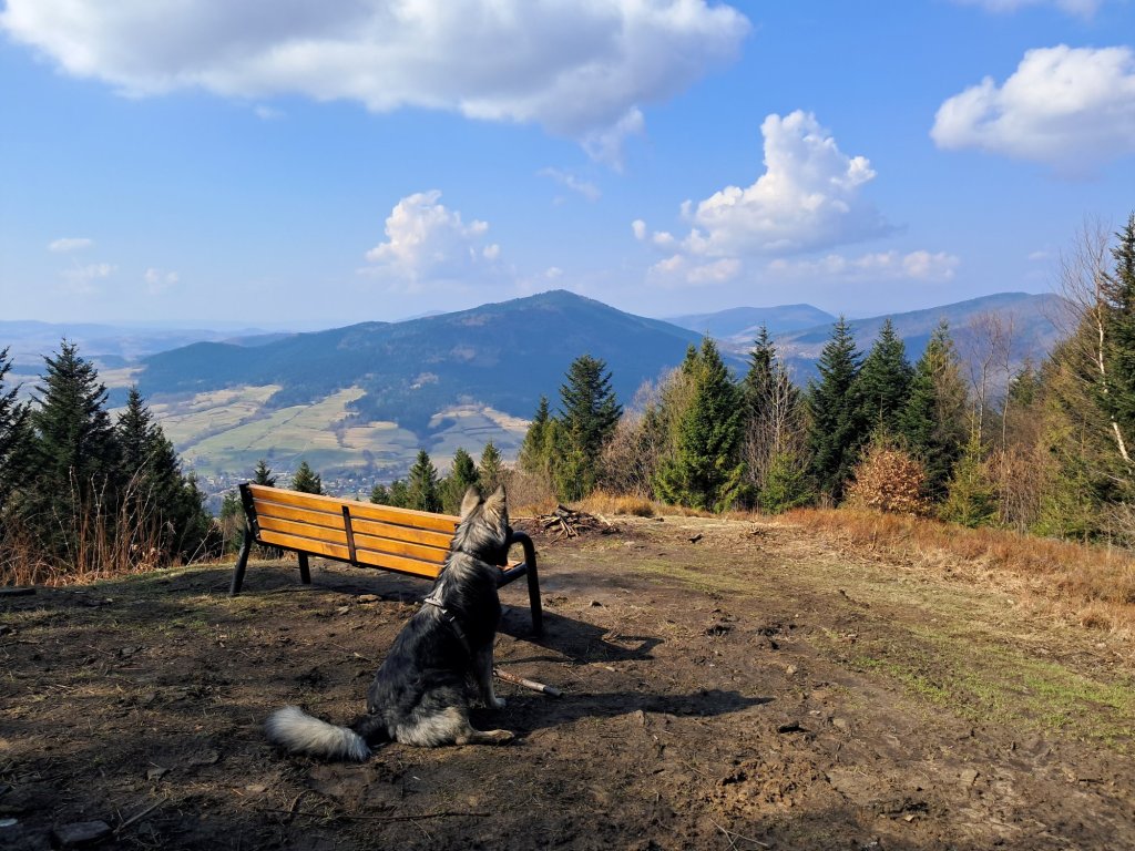 polana widny zrąbek