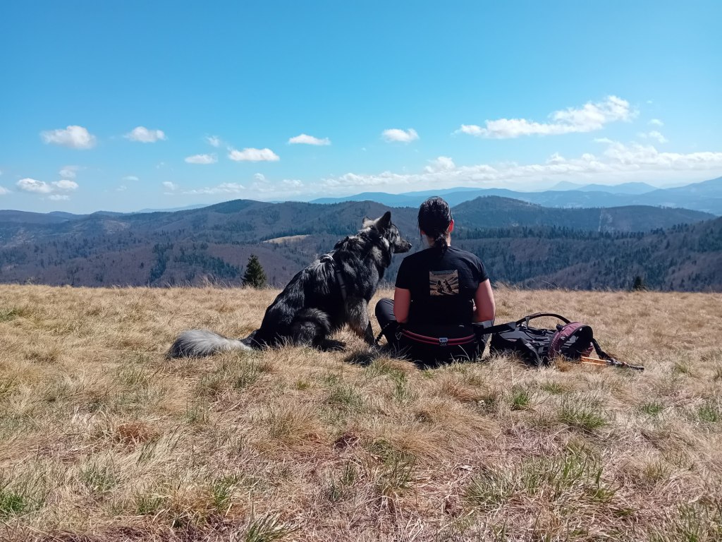 Hala na Małęj Raczy