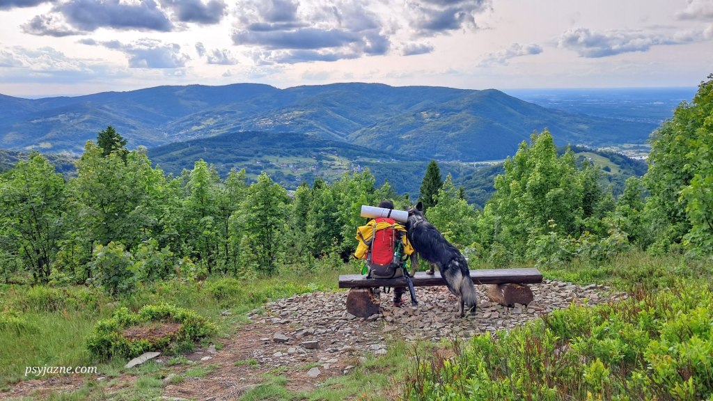 Mały Szlak Beskidzki z psem