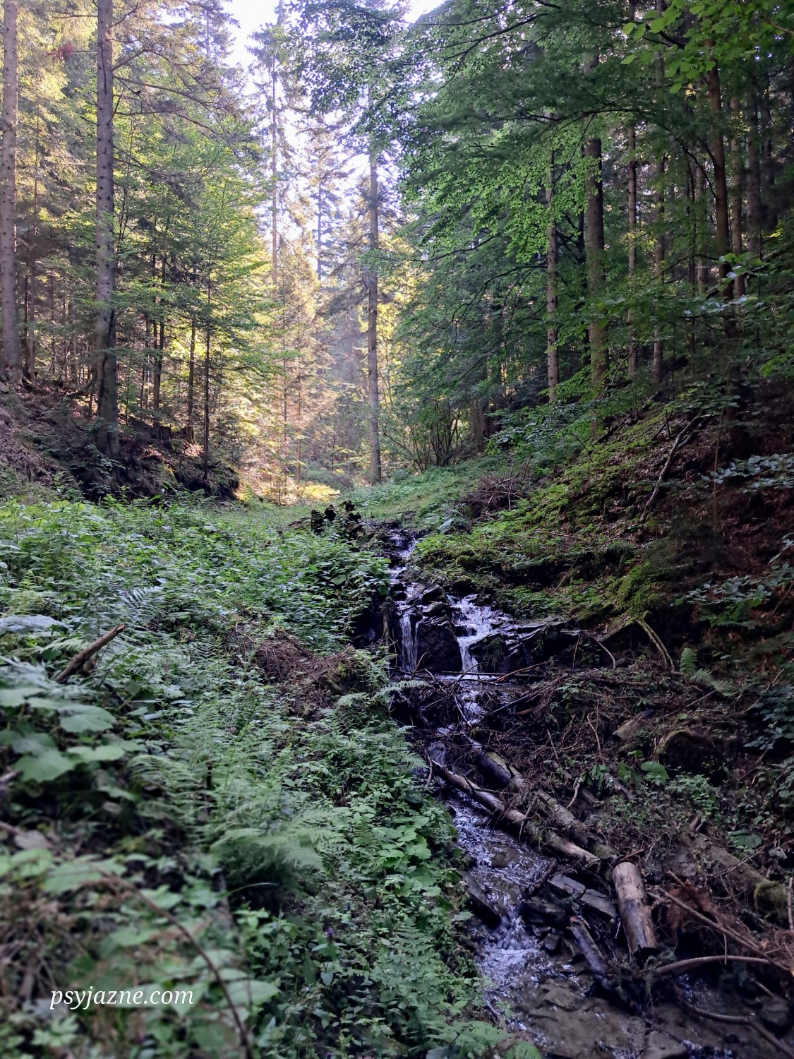 szczawnica-przehyba-szlak-niebieski