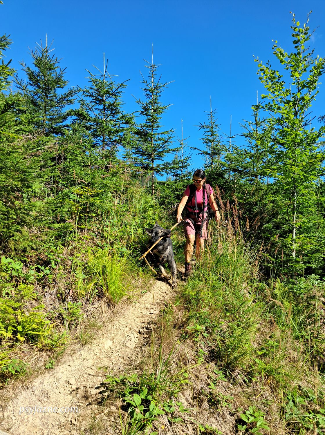 na niebieskim szlaku na Przełęcz Kotarz