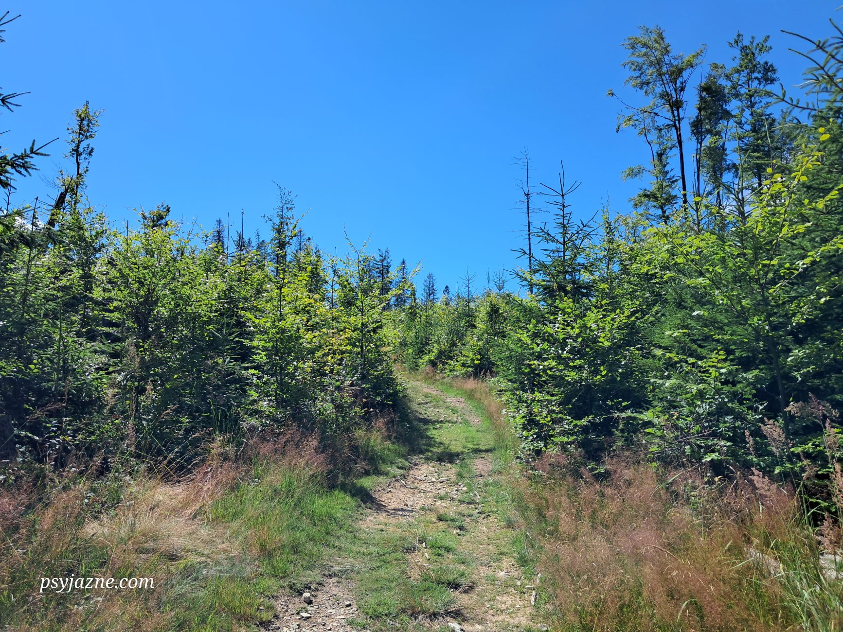 podejście pod Wiertalówkę