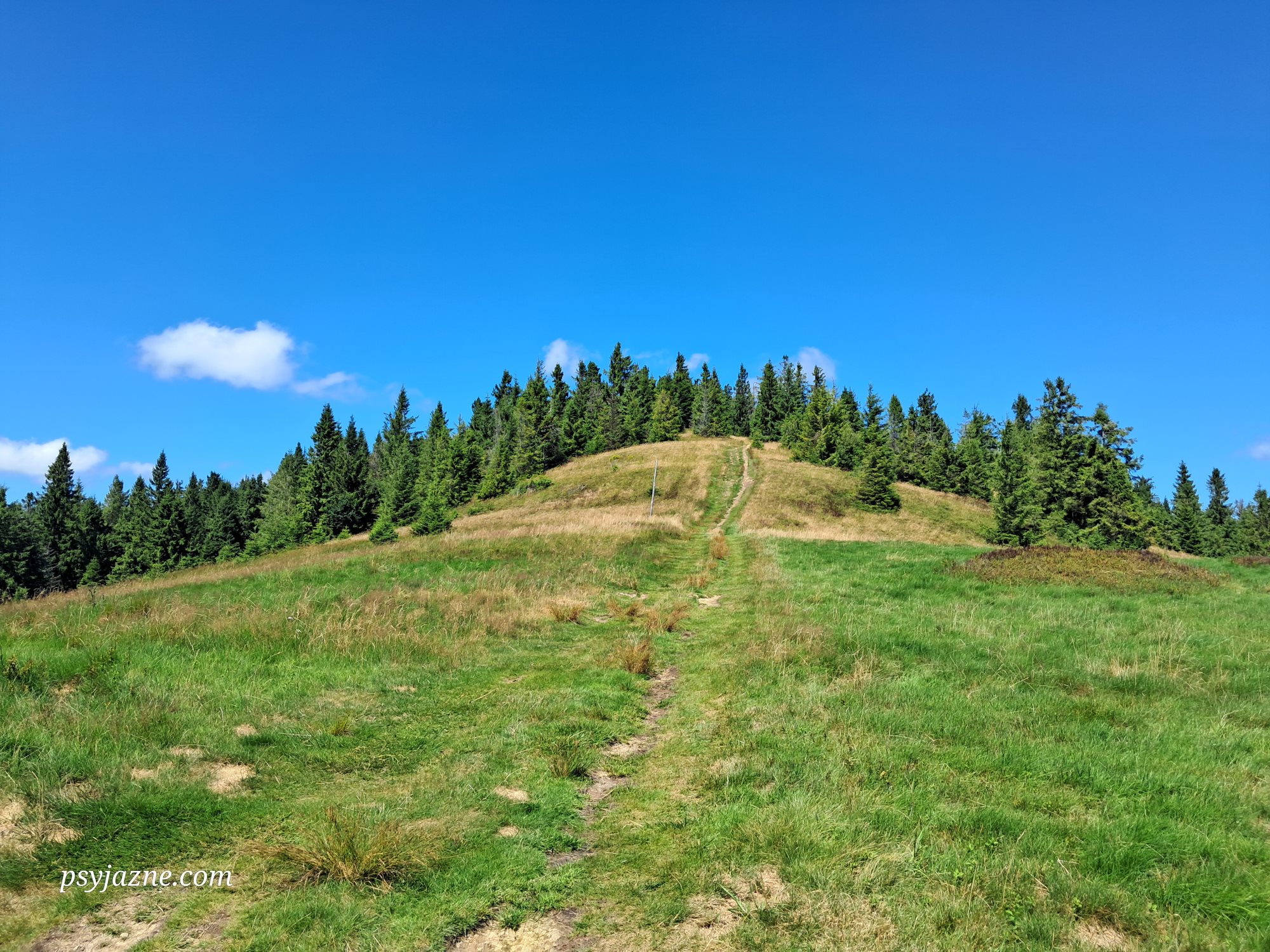 widok na małą rycerzową