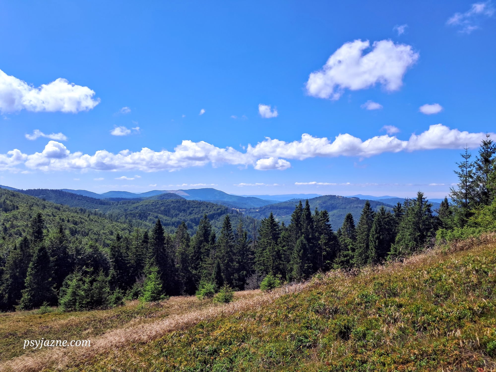 widok z hali rycerzowej