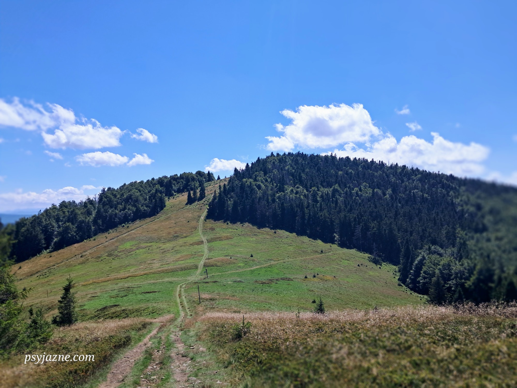 widok na wielką rycerzową