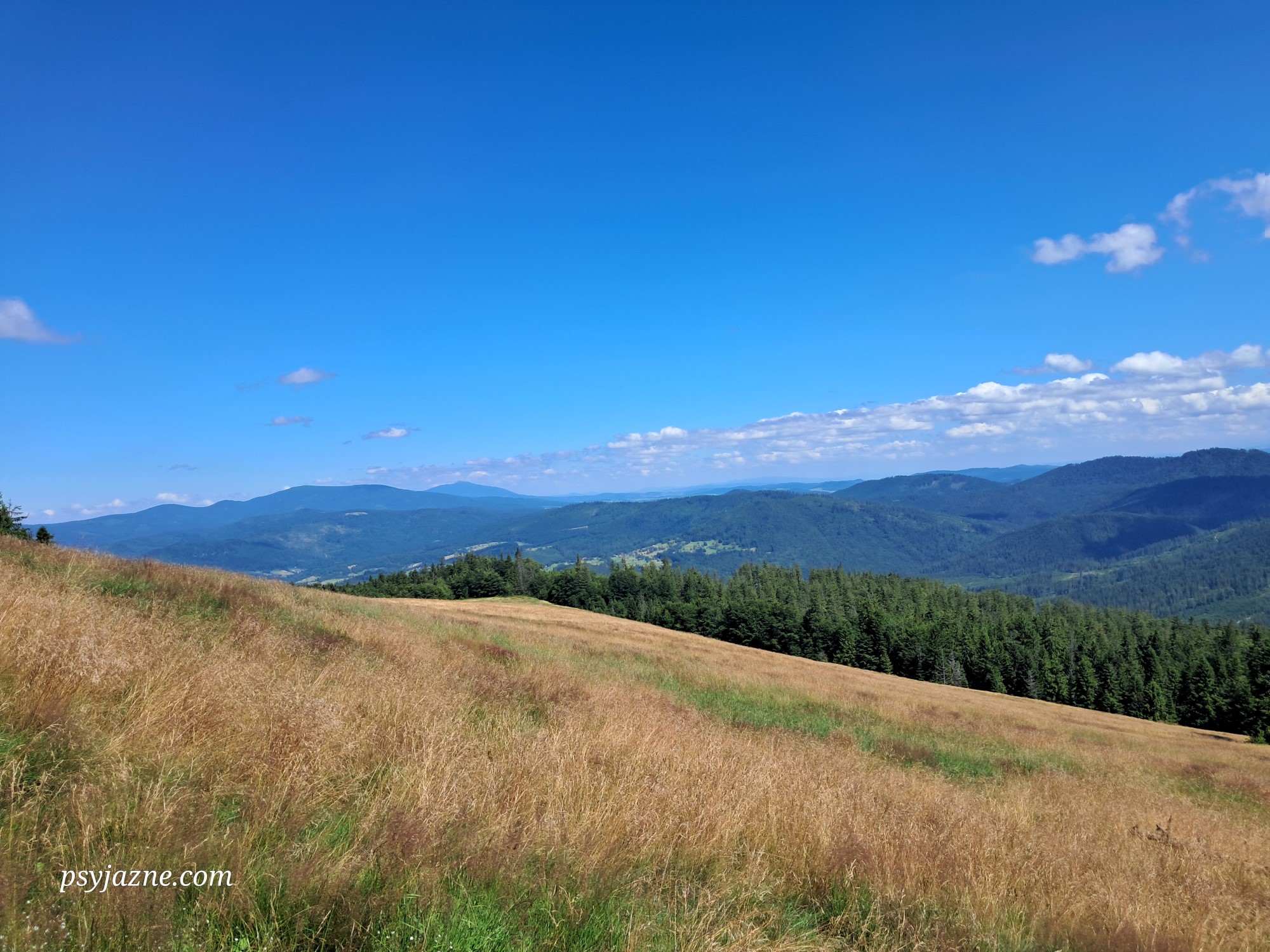 widok z hali rycerzowej