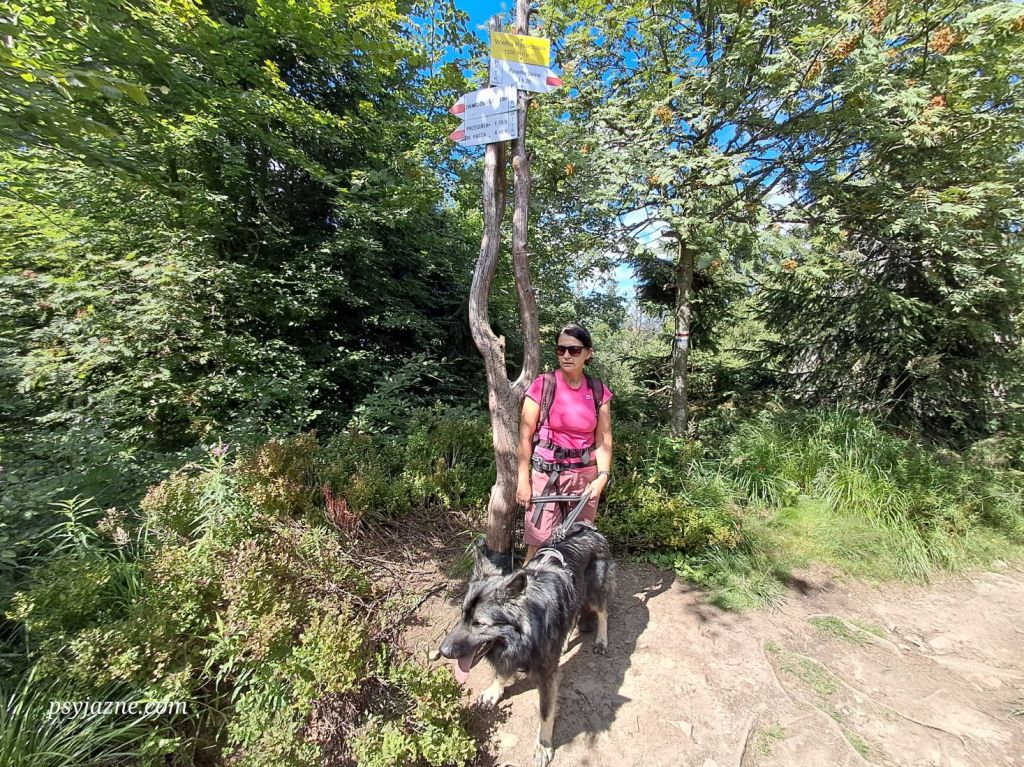 na szczycie wielkiej rycerzowej