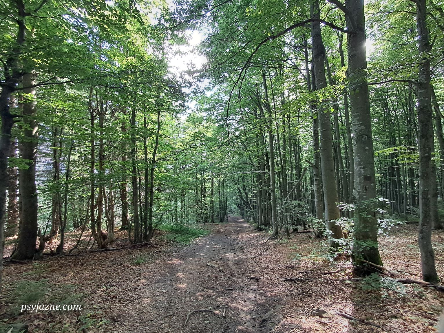 szlak z wielkiej rycerzowej na przełęcz przysłop