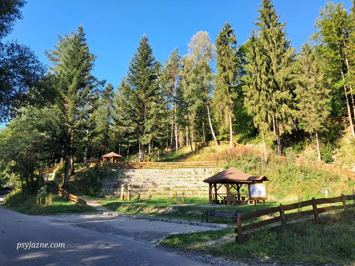 Deptak Doliną Głębieńca