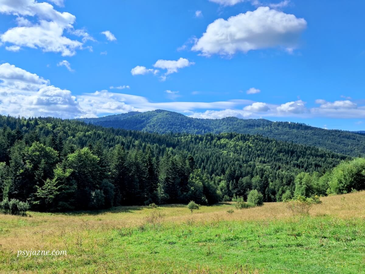 Widok na Czoło Gorca i Gorc z Faronówki