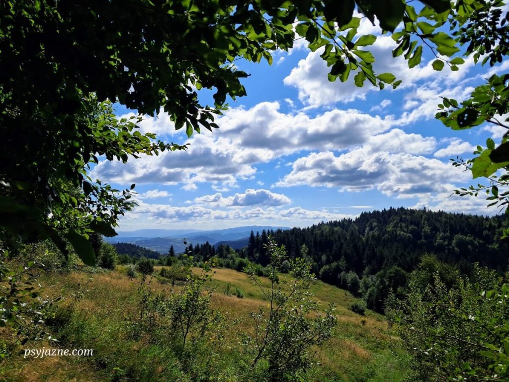 Widok na przysiółek Faronówka