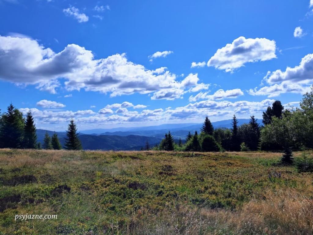 Widok na przysiółek Faronówka
