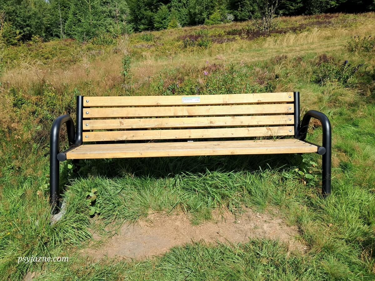 Ławeczka Wioletty Pod Kiczorą Kamienicką