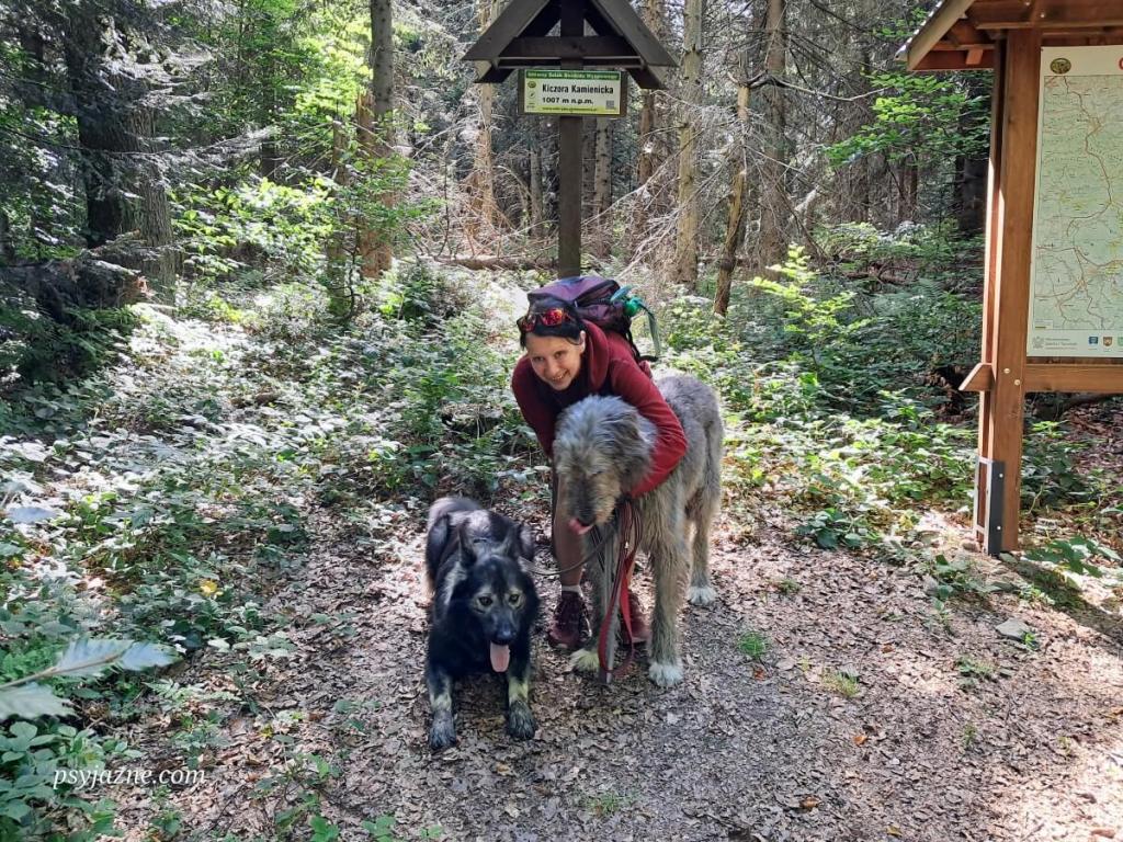 Autorka bloga z psami na szczycie Kiczory Kamienickiej