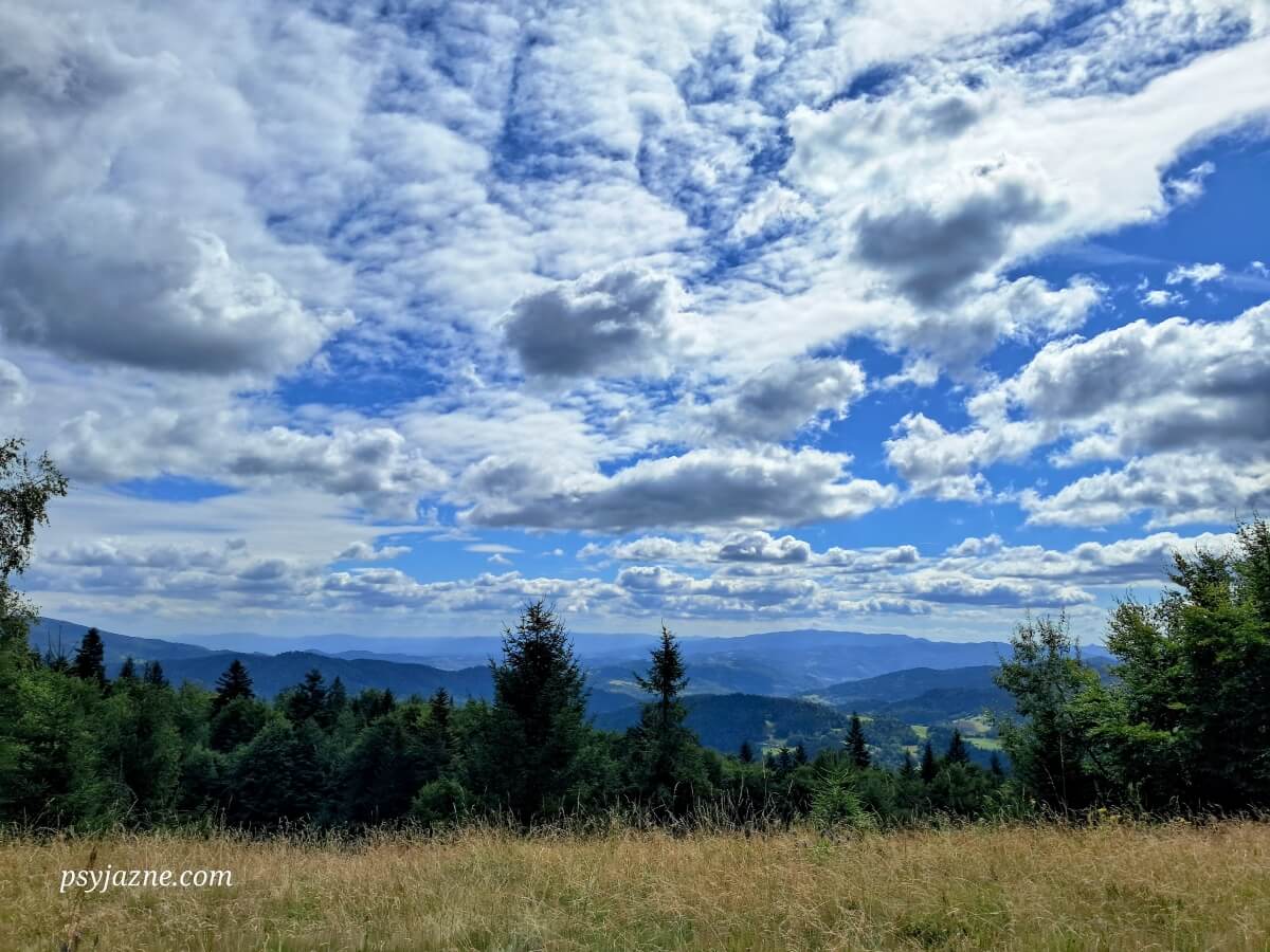 Widok z Polany Jeziorne