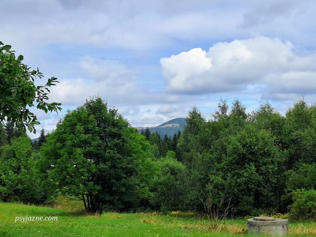 Widok na Mogielicę i Polanę Stumorgową ze Szczawy Polanek