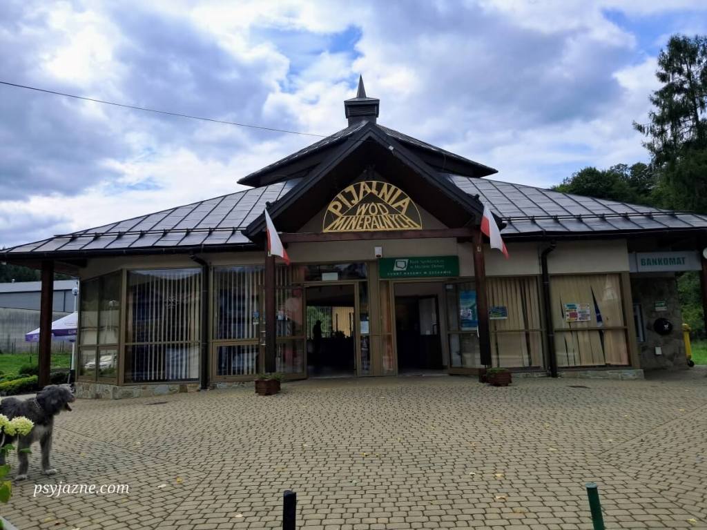 Pijalnia Wód Mineralnych w Szczawie