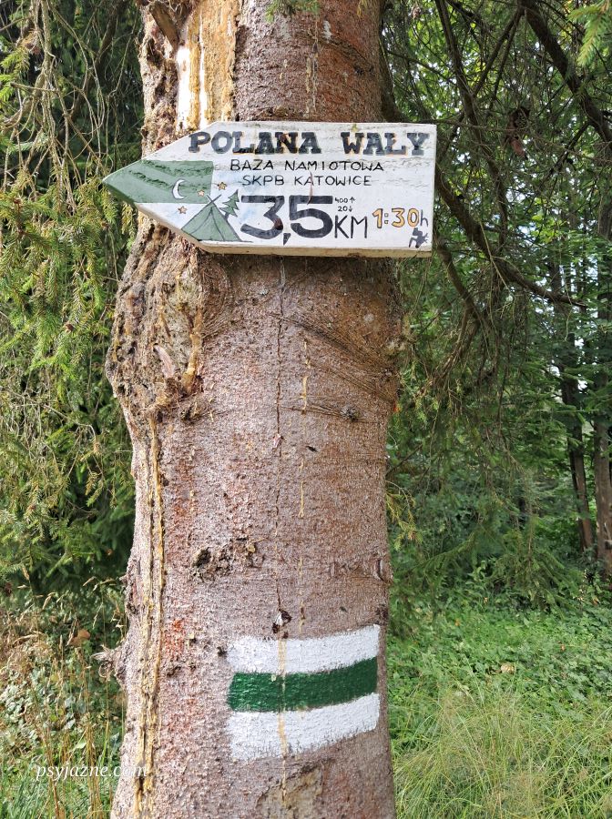 początek zielonego szlaku z półrzeczek na polanę wały