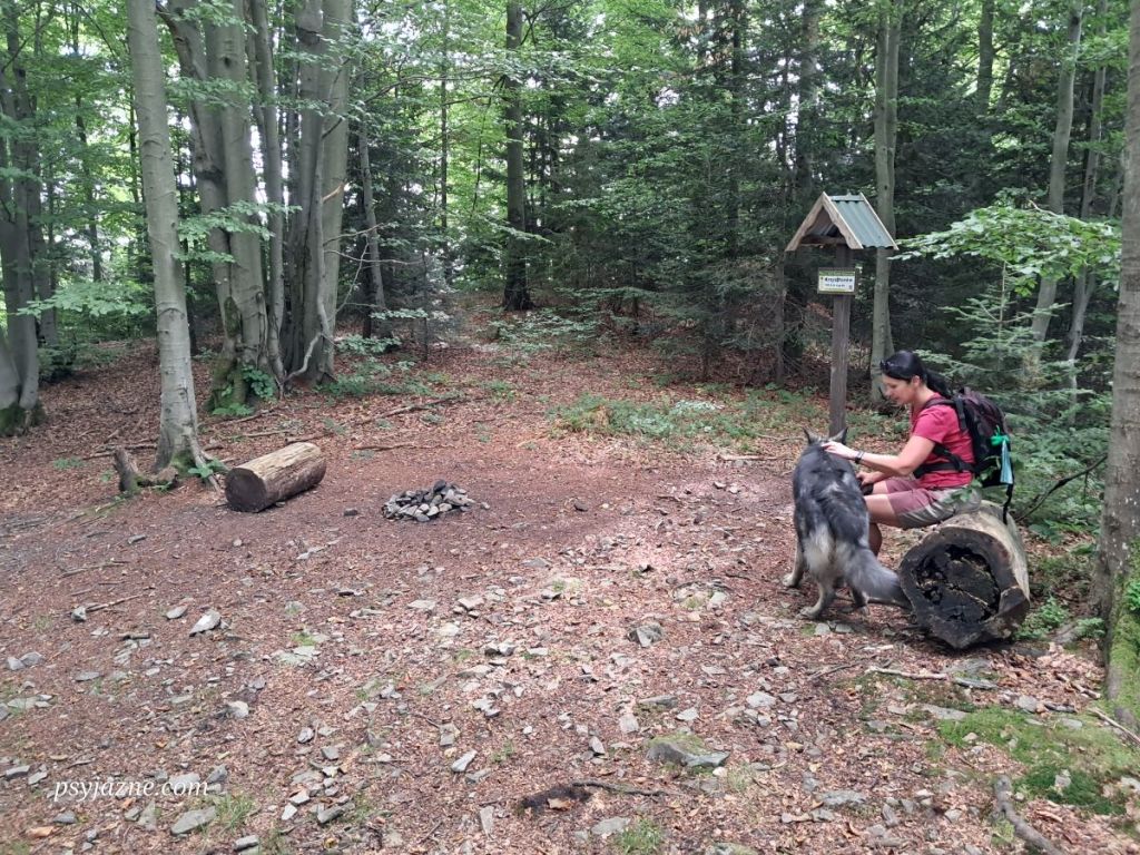 Krzystonów szczyt, Główny Szlak Beskidu Wyspowego