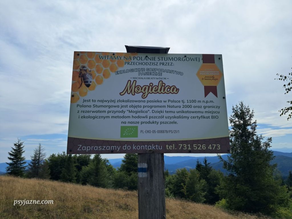 Pasieka ekologiczna na Polanie Stumorgowej