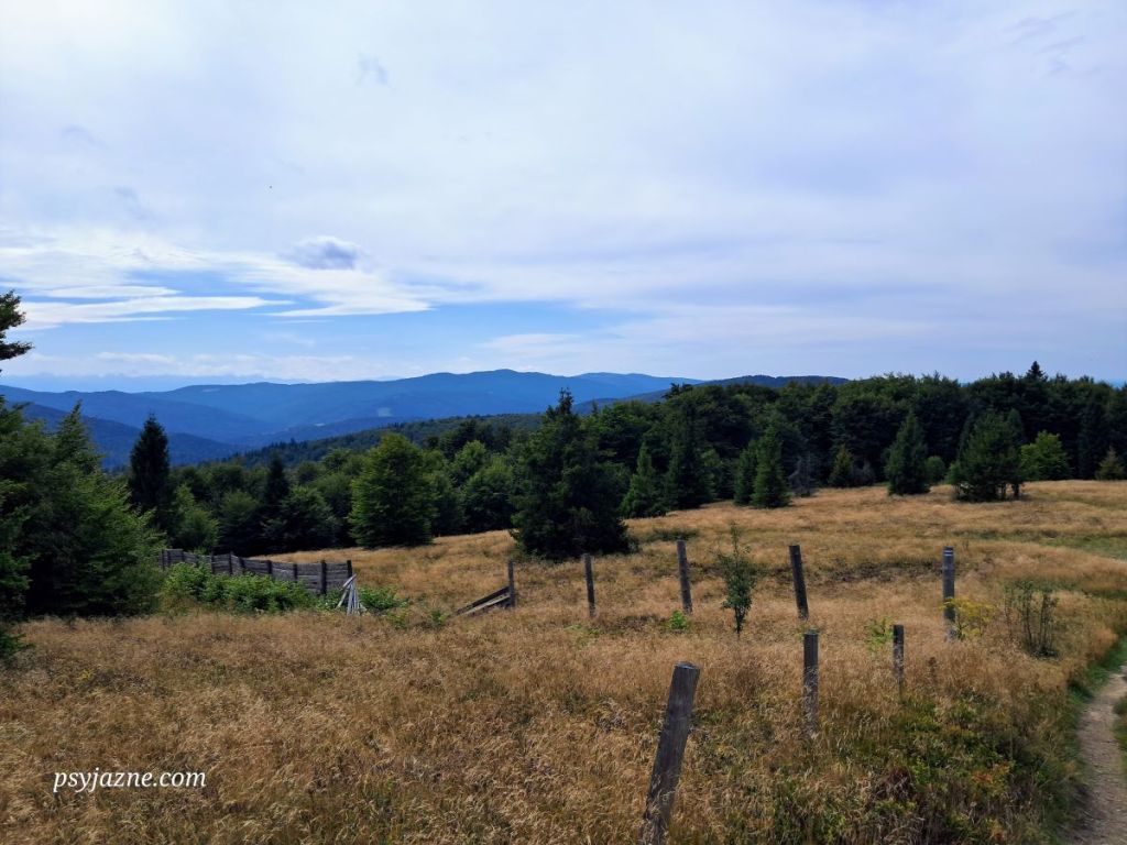 na Polanie Stumorgowej