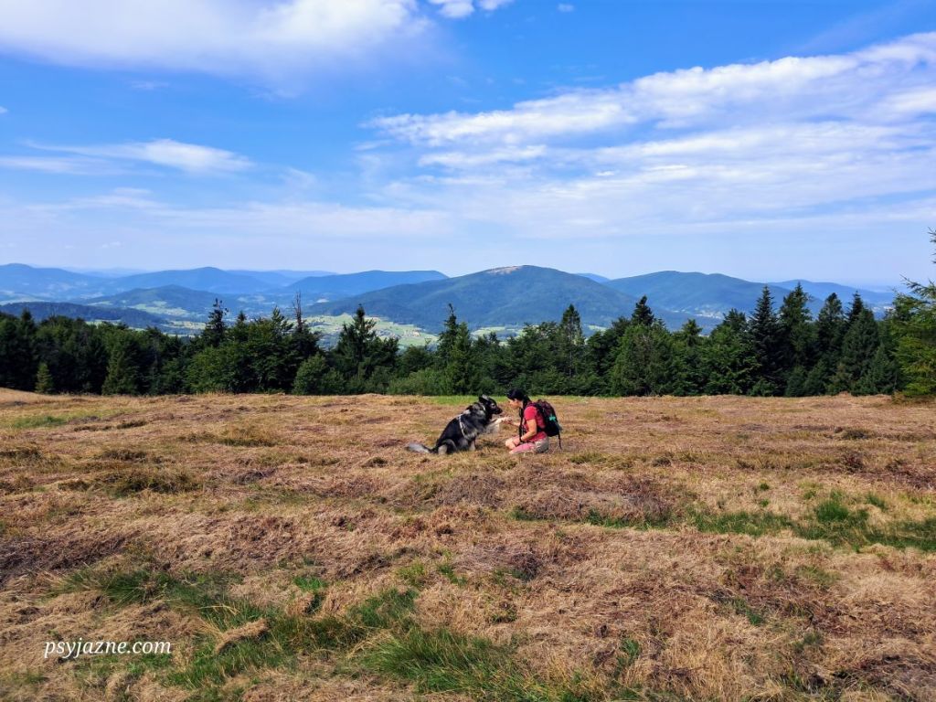 Polana Strumorgowa, widok na szczyty Beskidu Wyspowego