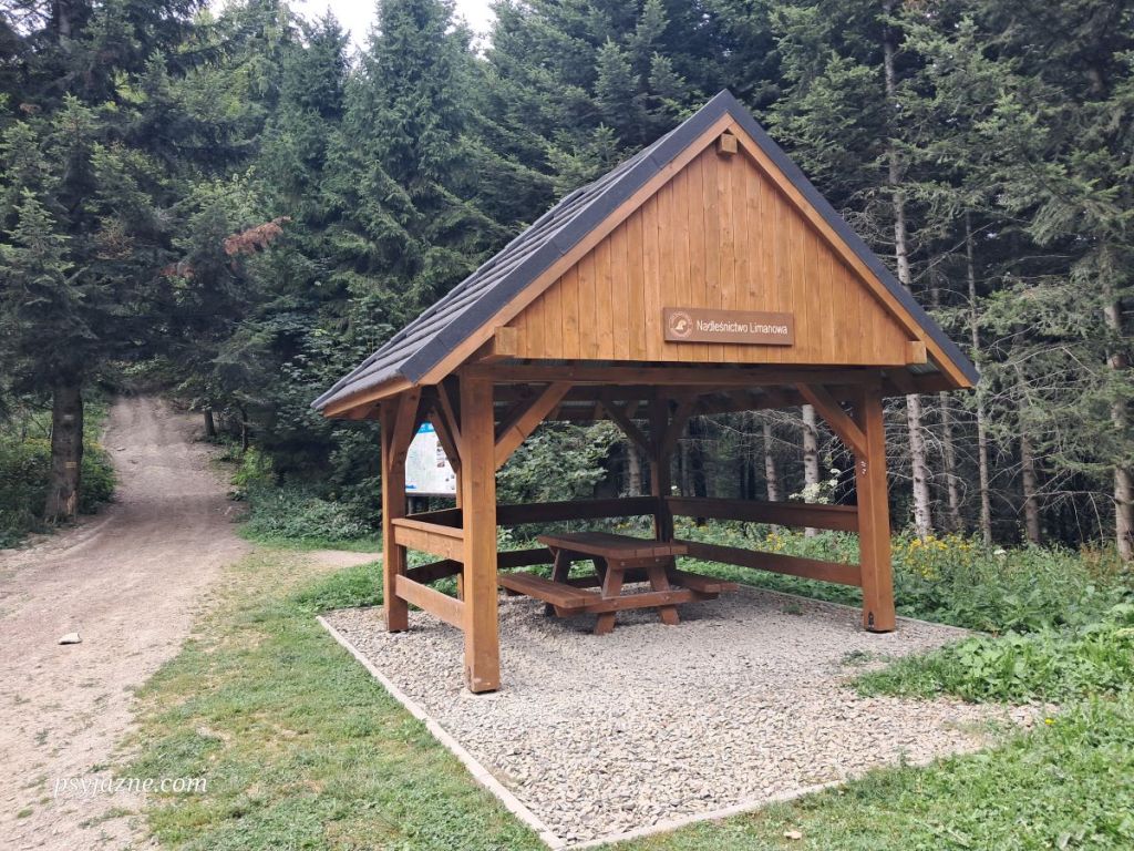 Na Przełęczy Przysłopek pod Krzystonowem