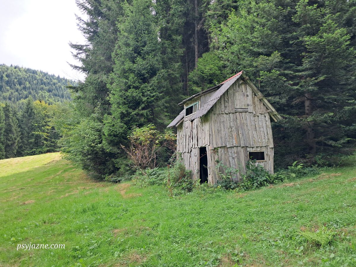 stara bacówka na zielonym szlaku z Półrzeczek na Polanę Wały