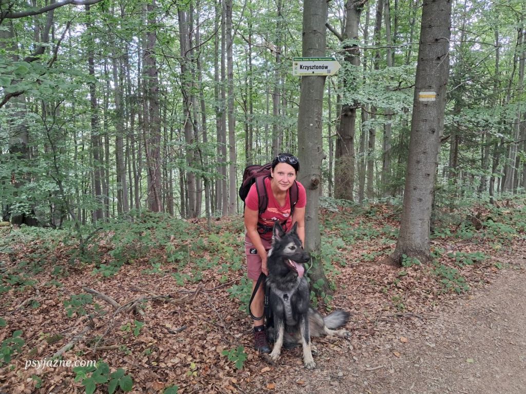 wejście na szczyt Krzystonów, szlak zółty