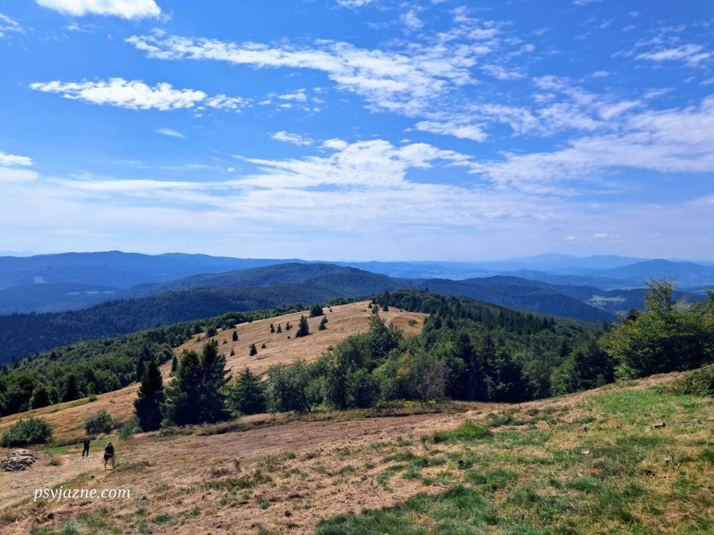 widok na Polanę Stumorgową