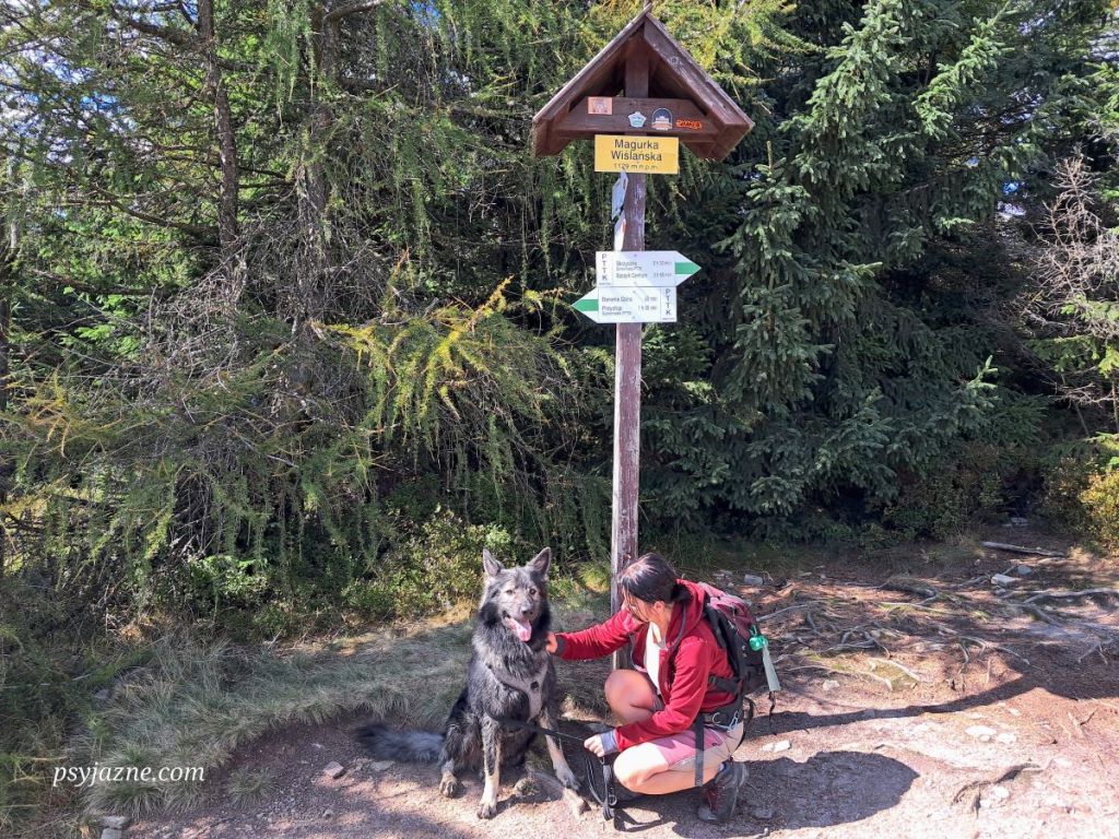 Magurka Wiślańska, szczyt