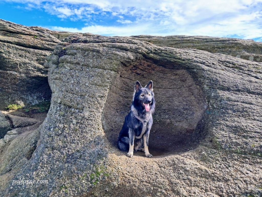 zlepieniec, formy wietrzenia