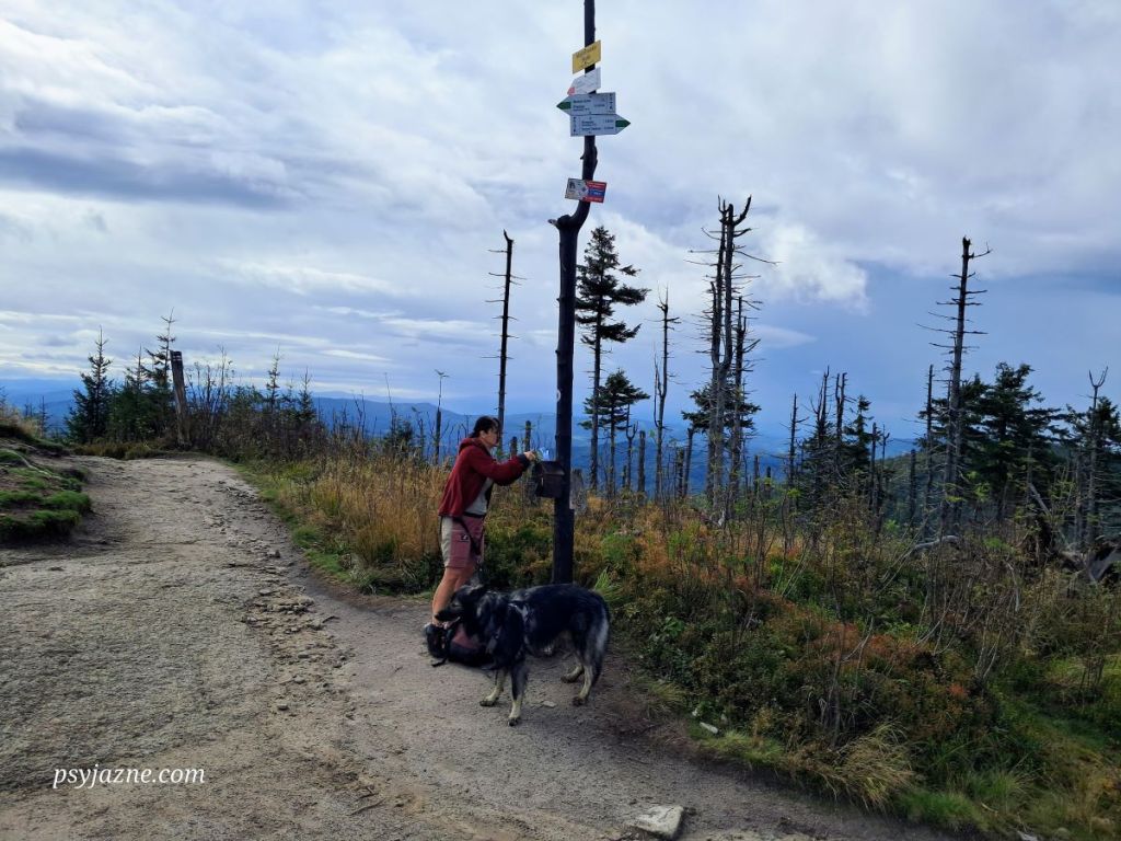 Malinowska Skała, szczyt