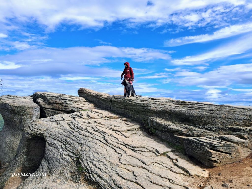 Trasa Lipowa–Ostre – Hala Radziechowska – Malinowska Skała - Skrzyczne. Najpiękniejsze szlaki Beskidu Śląskiego.