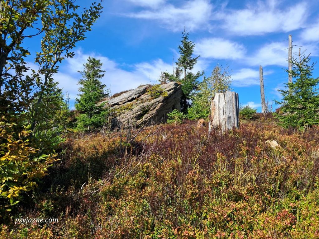 wychodnia skalna, czerwony szlak pomiędzy Magurkami, Beskid Śląski