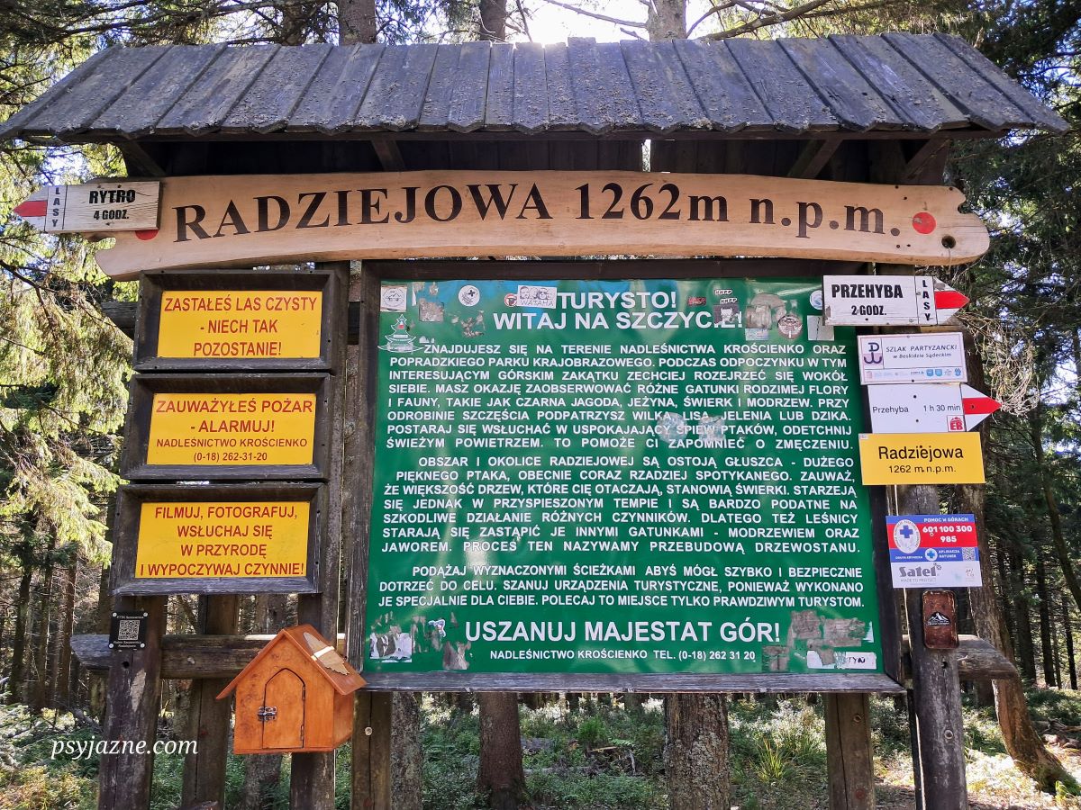 Radziejowa szczyt