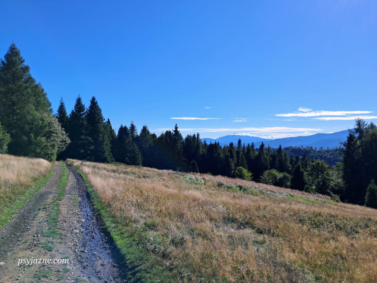 widok na Beskid Żywiecki, szlak zielony Lipowa - Magurka Radziechowska