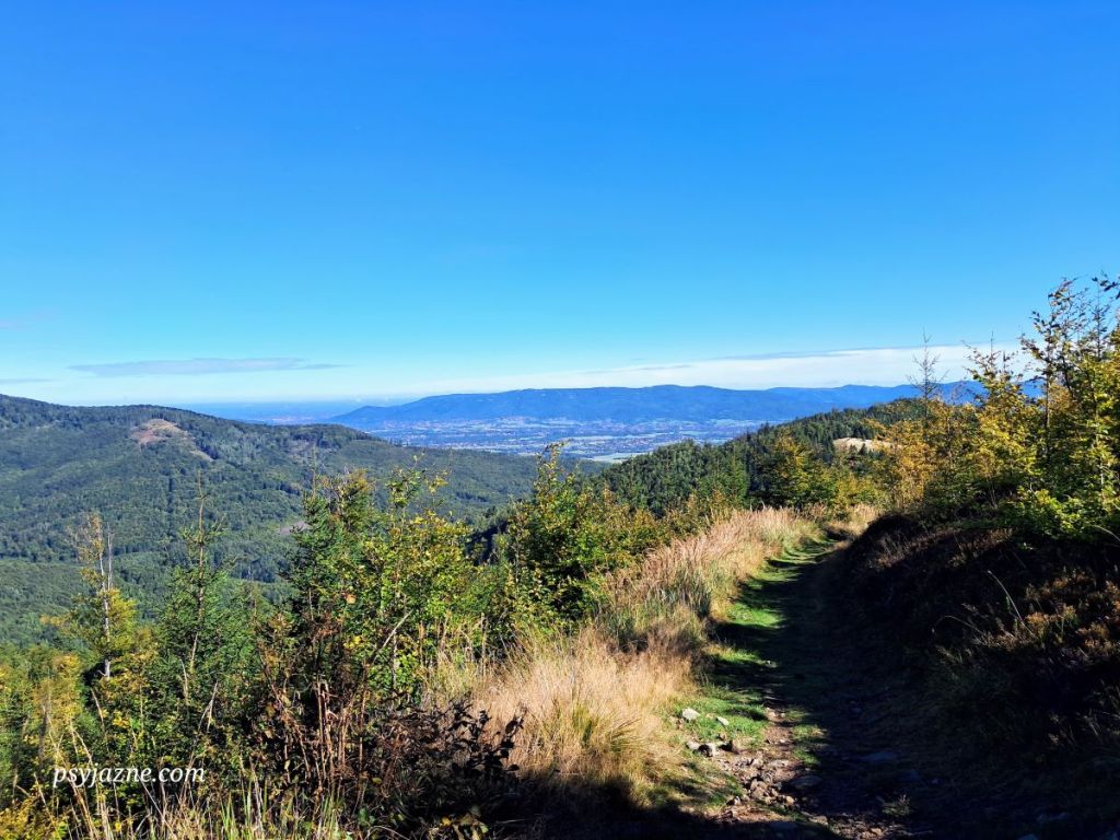 Lipowa-Ostre - Magurka Radziechowska szlak zielony