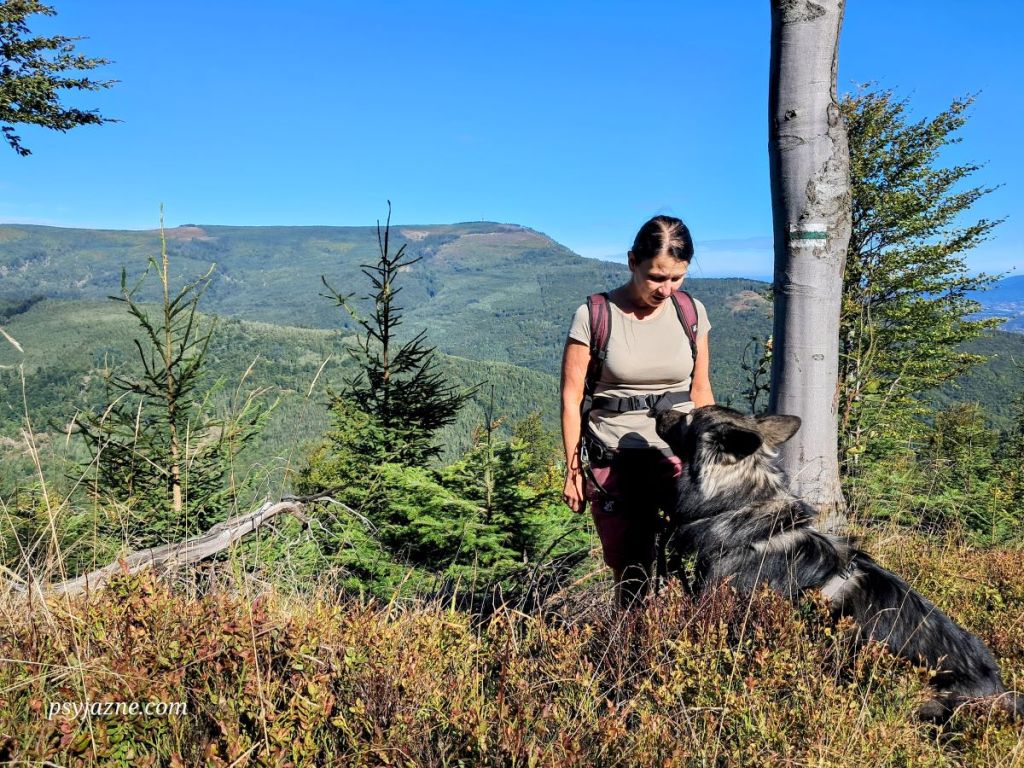 widok na grzbiet Skrzycznego z zielonego szlaku Lipowa - Magurka Radziechowska