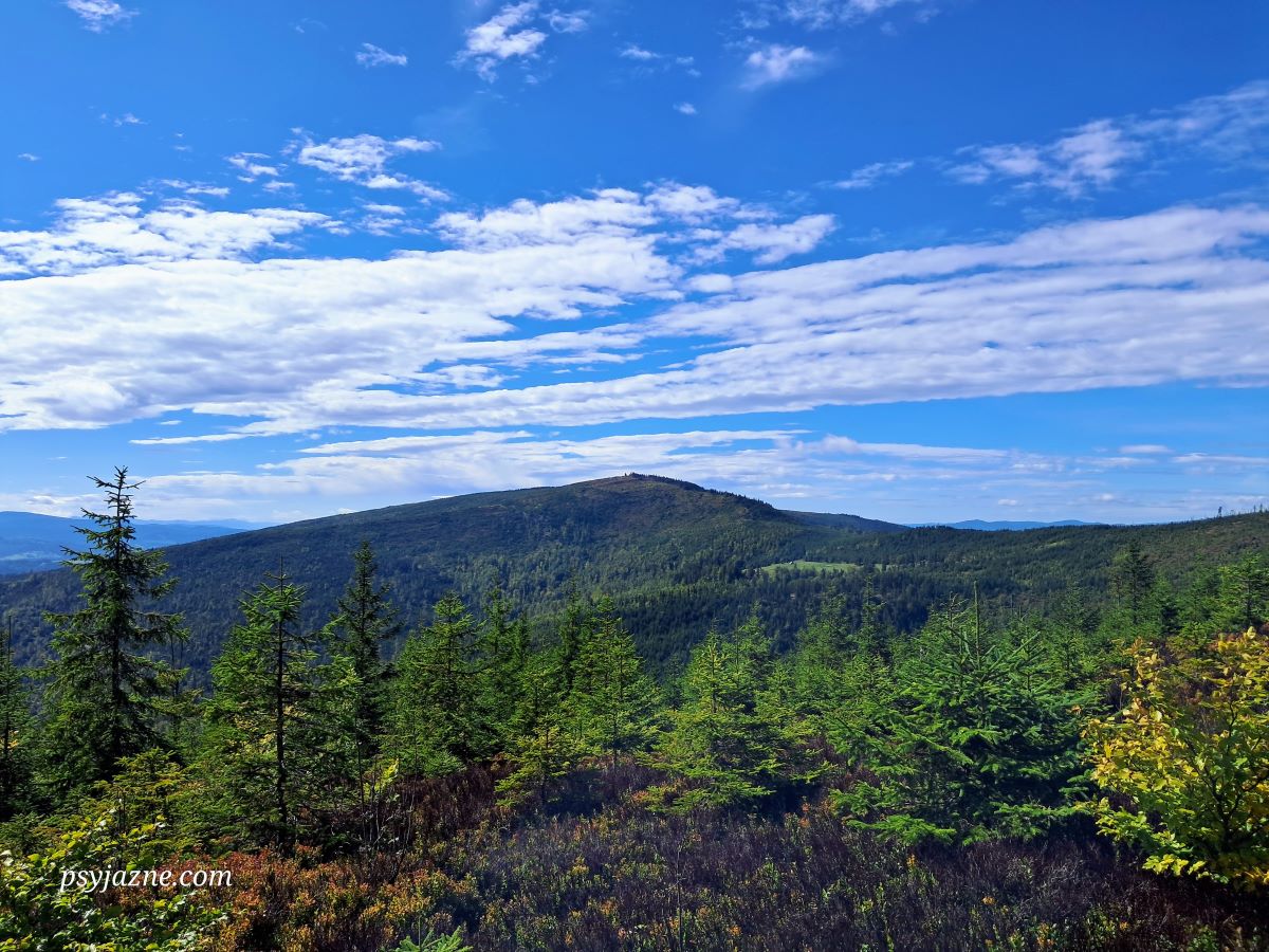 widok na Baranią Górę, szlak czerwony pomiędzy Magurkami
