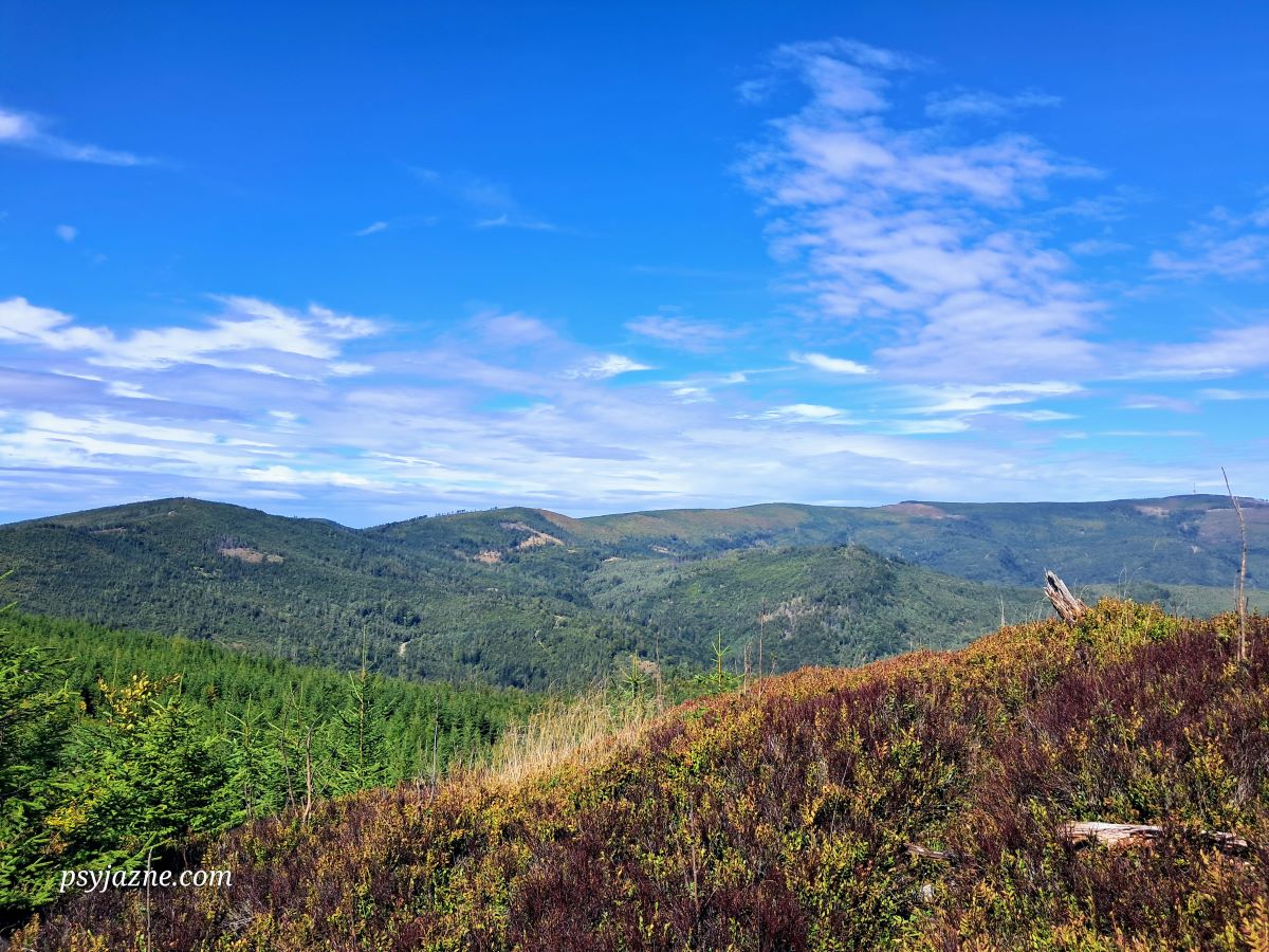 widok na Skrzyczne, czerwony szlak pomiędzy Magurkami