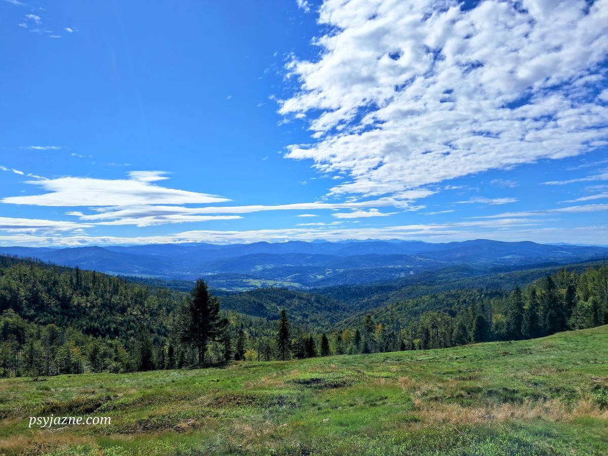 widok z Hali Radziechowskiej