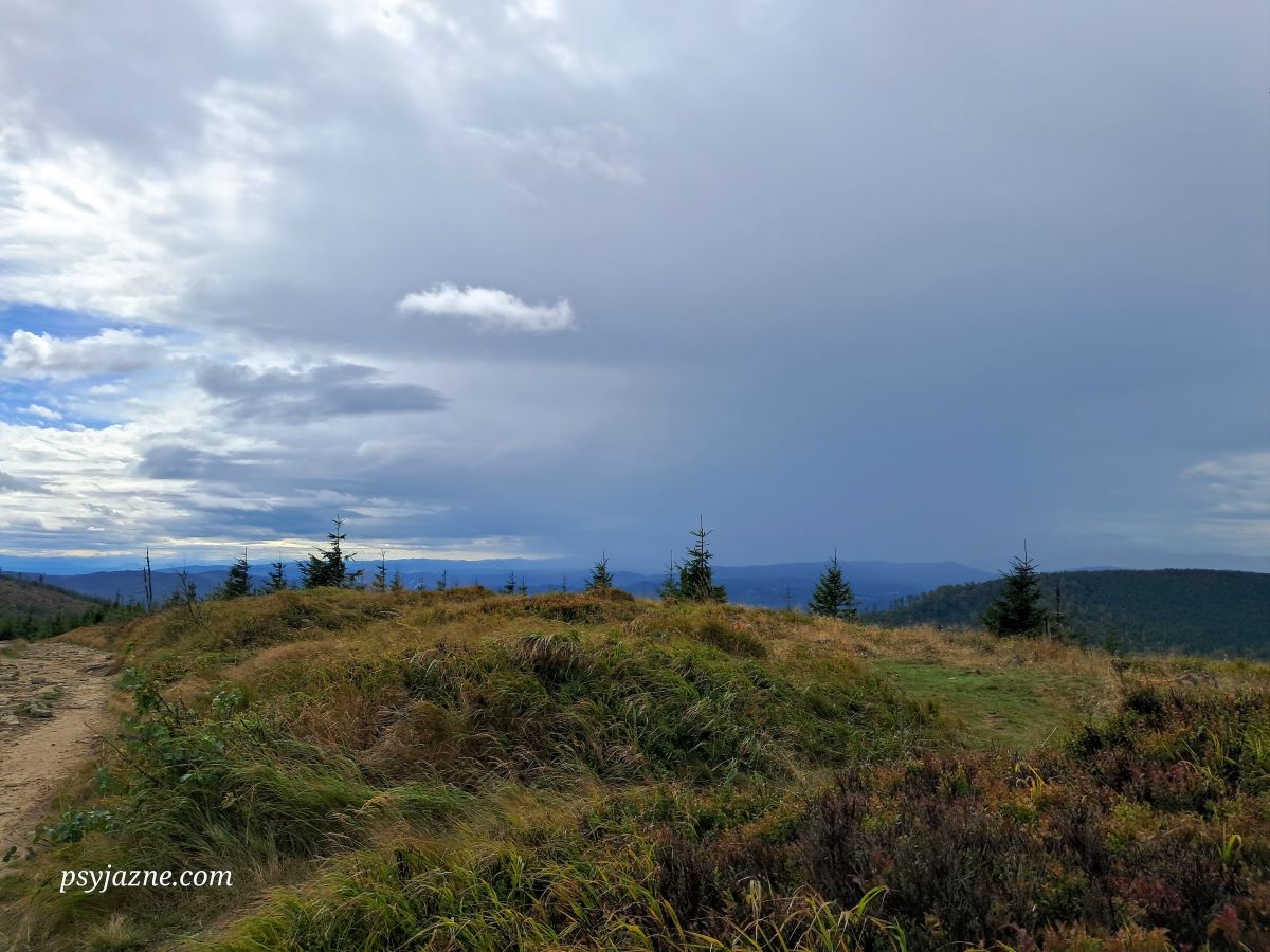 widok z Malinowskiej Skały