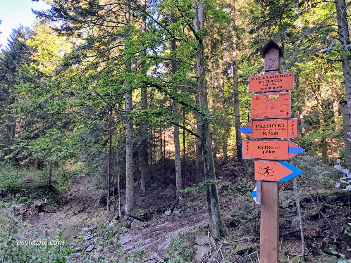 Wielka Roztoka Ryterska Pod Gałką, widok ze szlaku