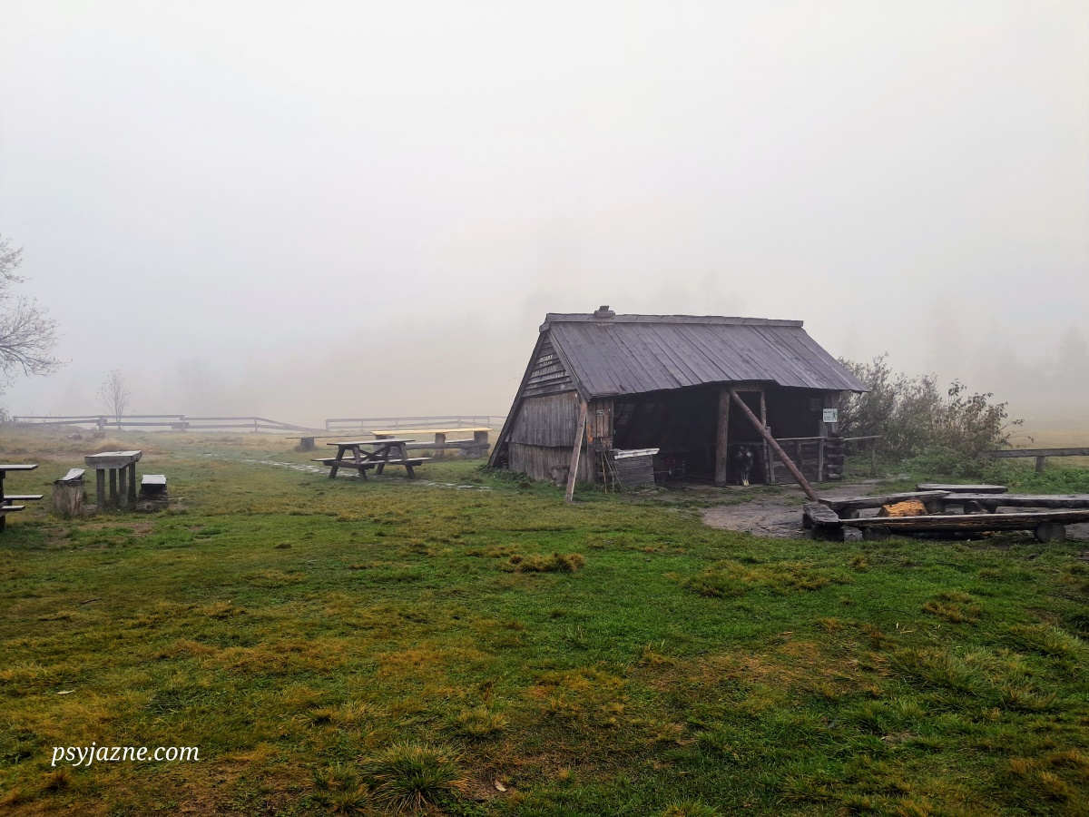Baza namiotowa Lubań