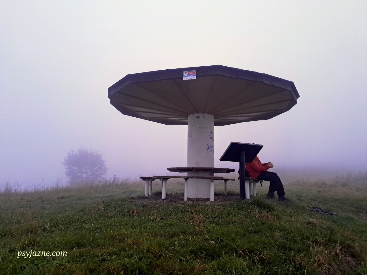 Grzybek Na Marszałku