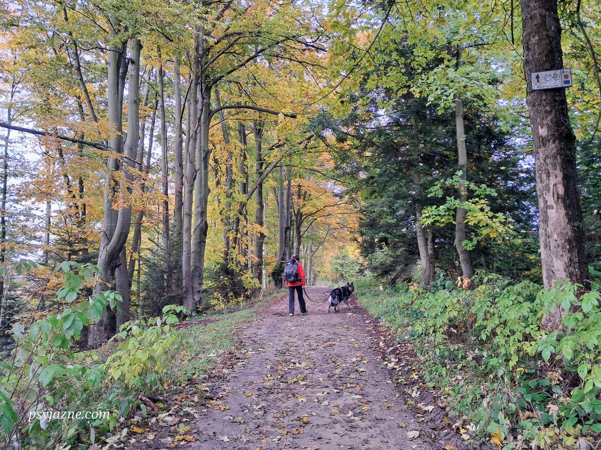 czerwony szlak Lubań-Jaworzyny